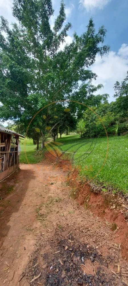 Fazenda - Foto 10
