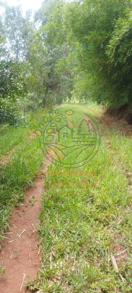 Fazenda - Foto 4