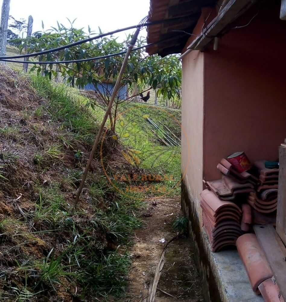 Sítio, 2 quartos, 5 hectares - Foto 3