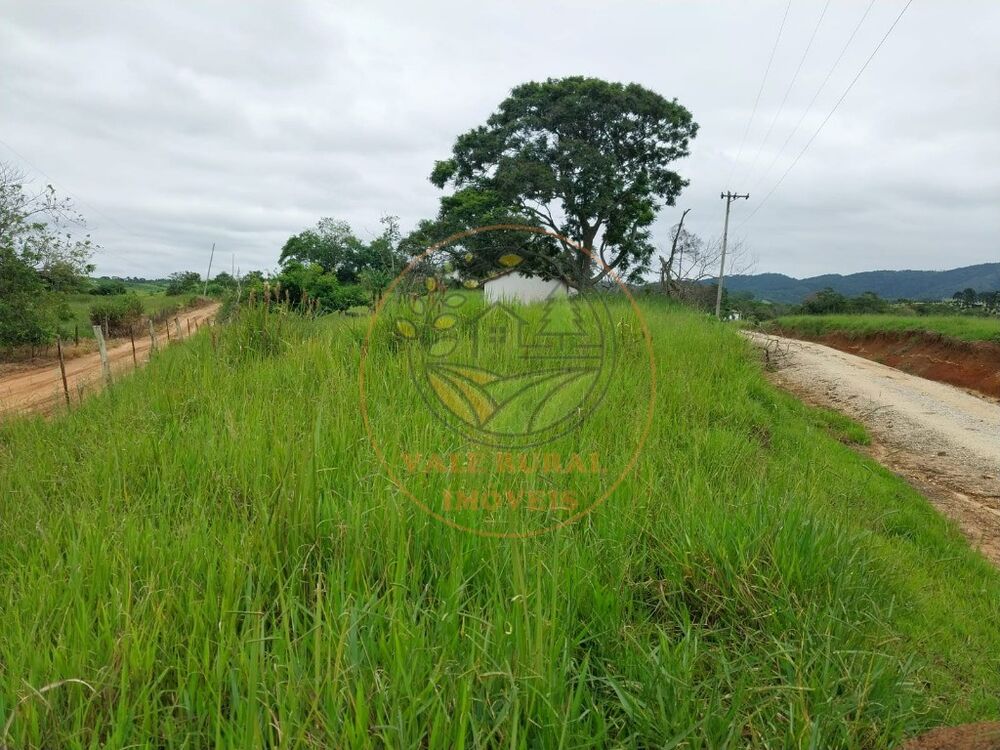 Fazenda à venda com 5 quartos, 11m² - Foto 12