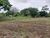 Fazenda-Sítio-Chácara, 5 quartos - Foto 14