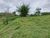 Fazenda-Sítio-Chácara, 5 quartos - Foto 17