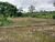 Fazenda-Sítio-Chácara, 5 quartos - Foto 13