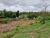 Fazenda-Sítio-Chácara, 5 quartos - Foto 20