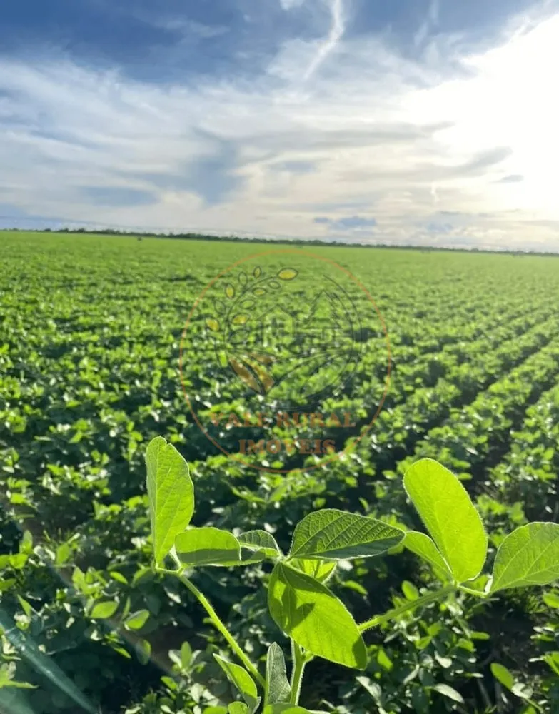 Fazenda - Foto 3