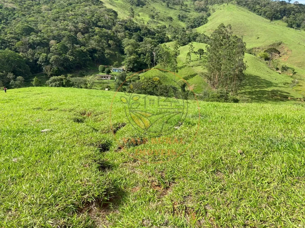 Fazenda - Foto 11