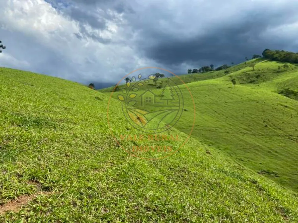 Fazenda - Foto 12
