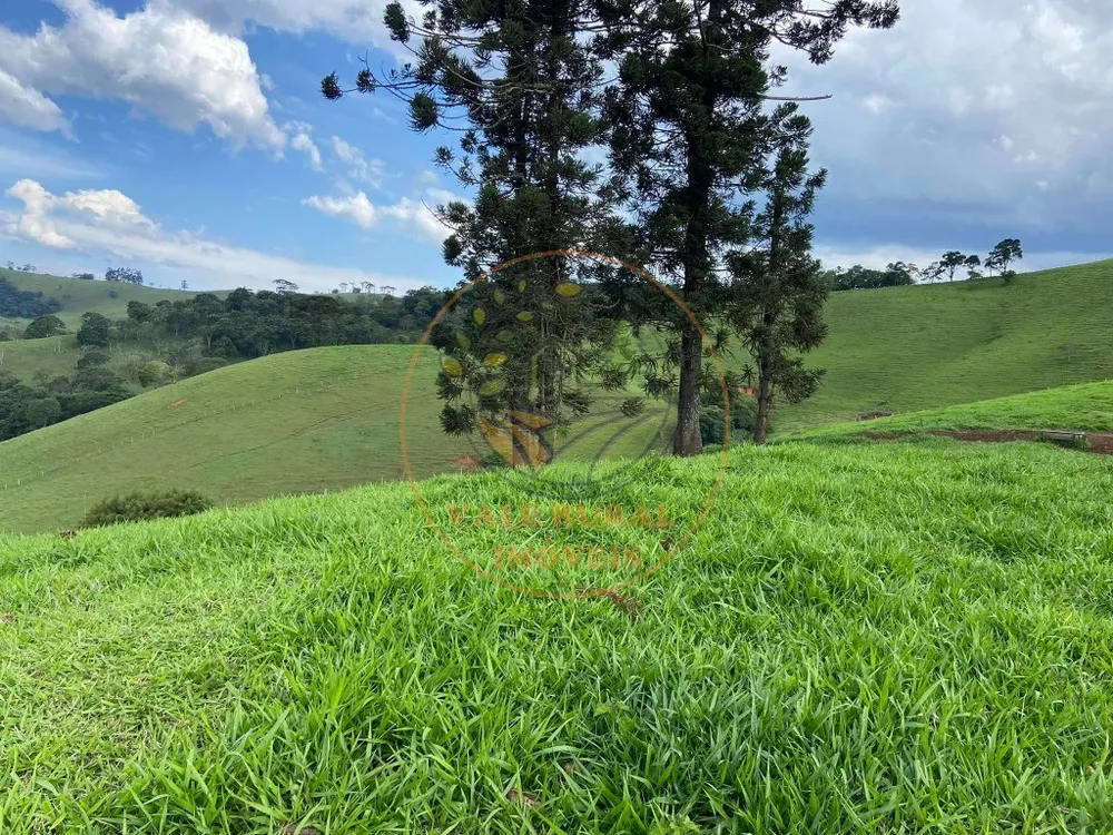 Fazenda - Foto 4