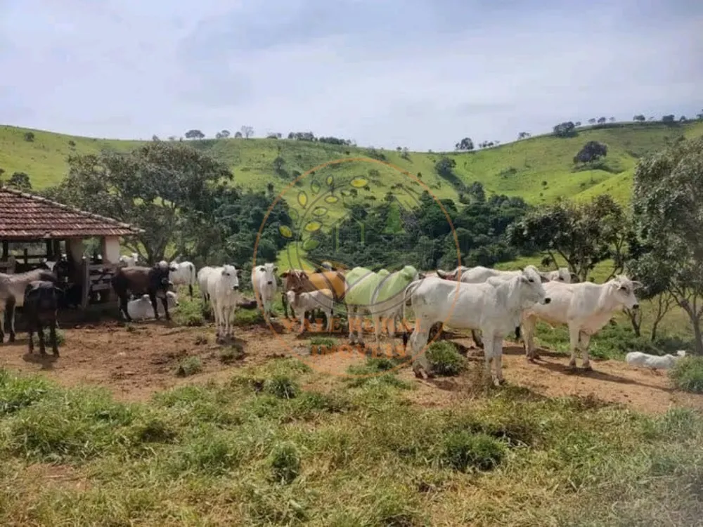 Fazenda, 347 m² - Foto 1