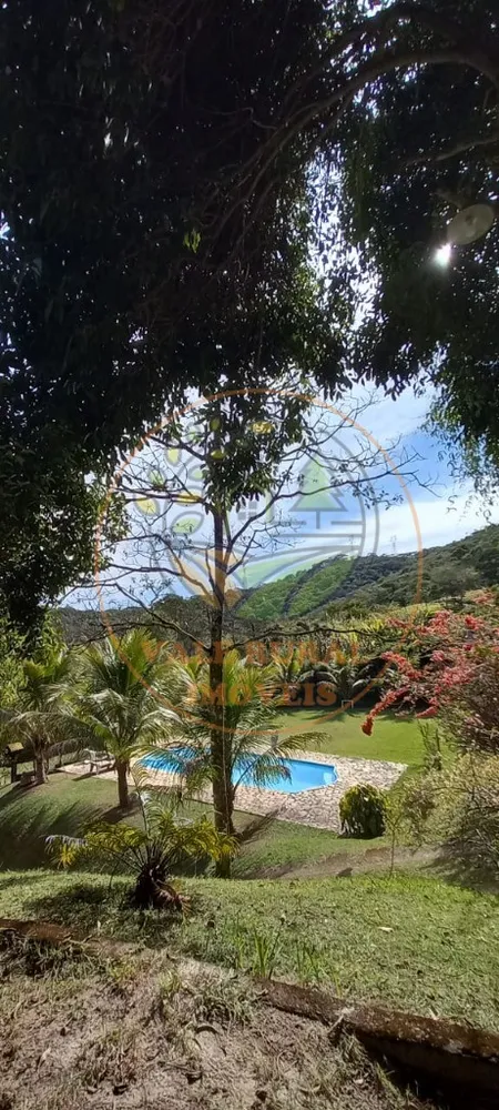 Chácara, 4 quartos, 2 hectares - Foto 6