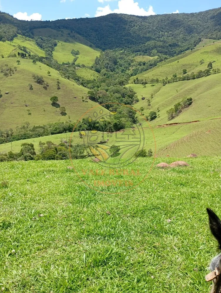 Sítio - Foto 6