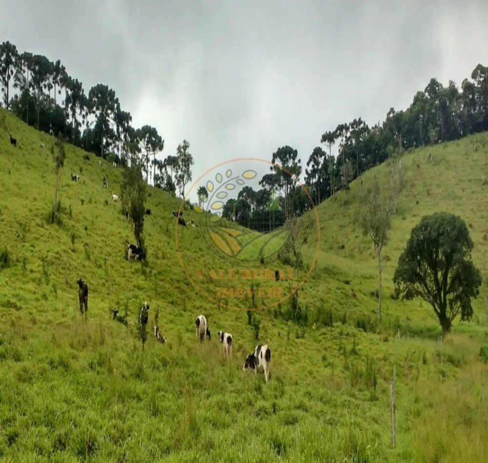 Fazenda, 317 m² - Foto 7