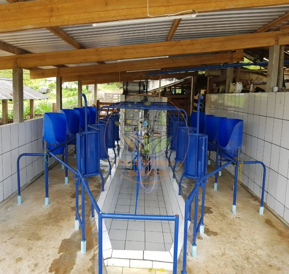 Fazenda, 317 m² - Foto 3
