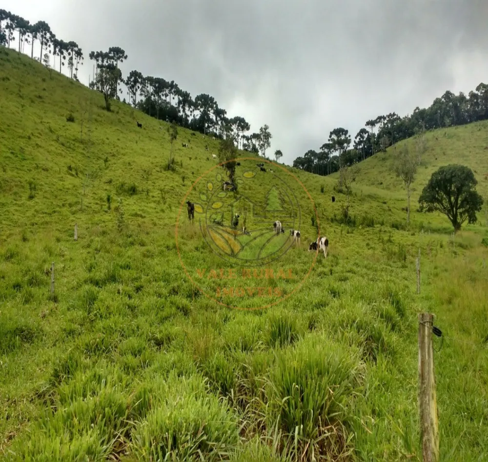 Fazenda, 317 m² - Foto 6
