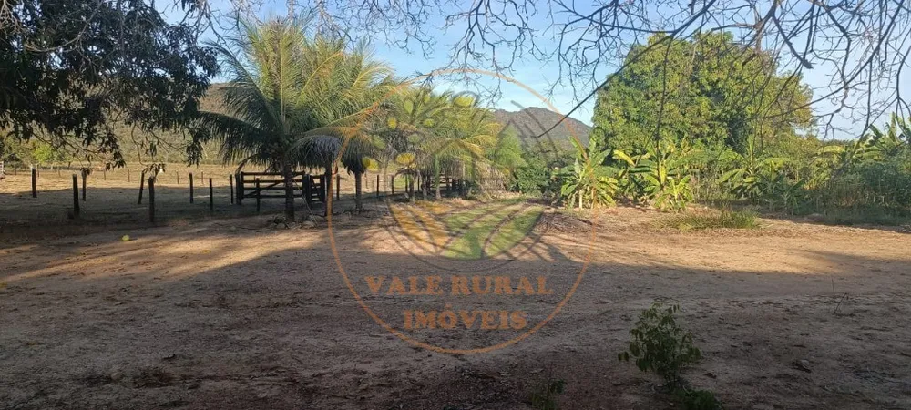 Fazenda, 3 quartos - Foto 12
