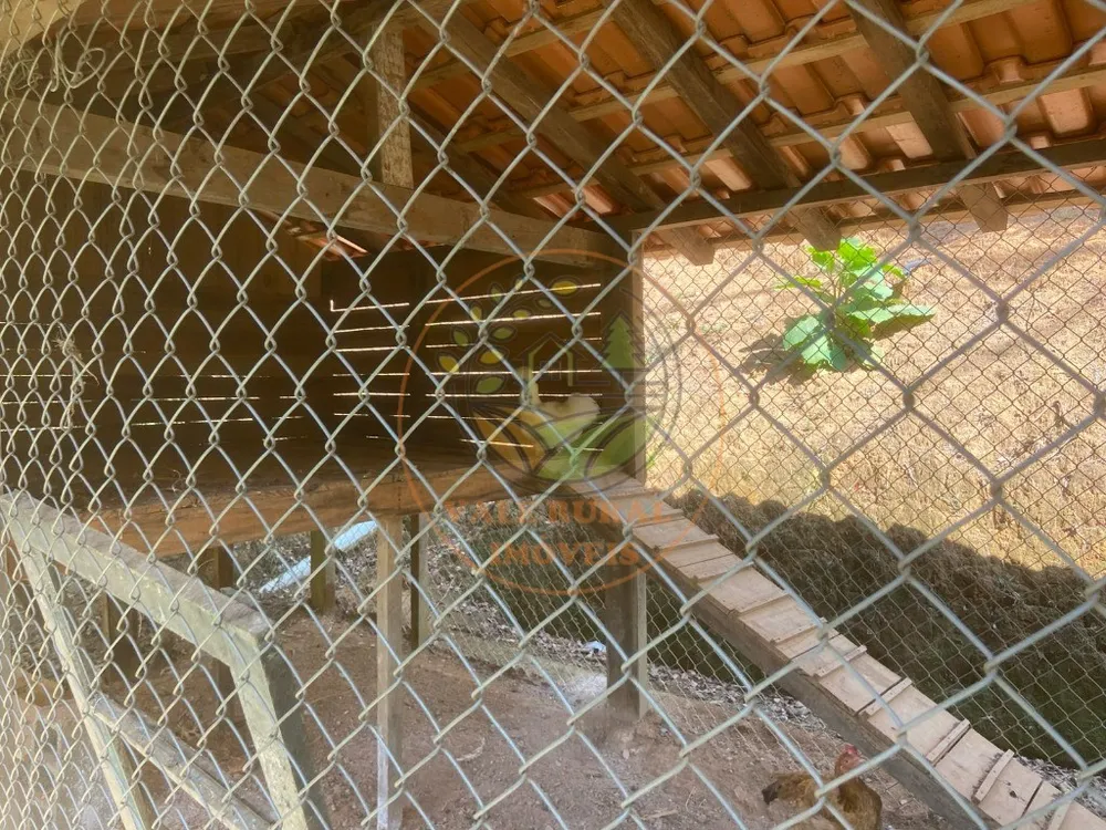 Chácara, 3 quartos - Foto 4