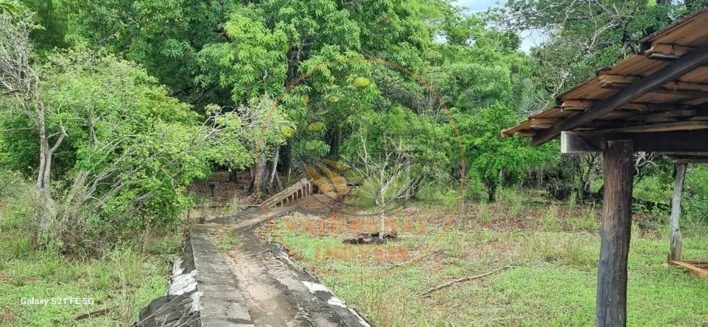 Fazenda, 1 quarto - Foto 11