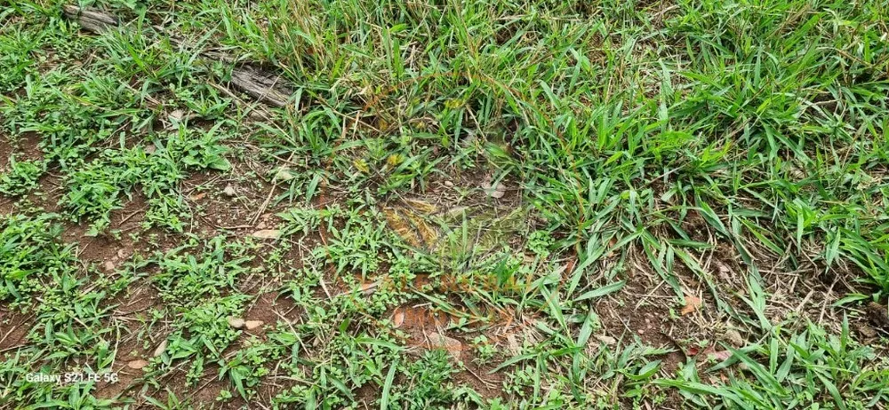 Fazenda, 1 quarto - Foto 4