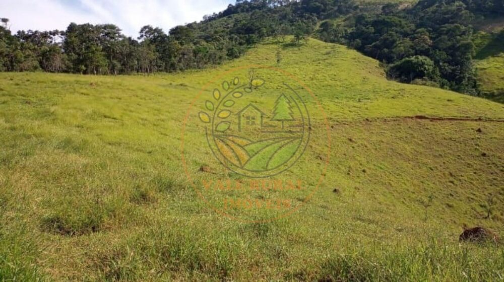 Sítio, 4 quartos, 9 hectares - Foto 2