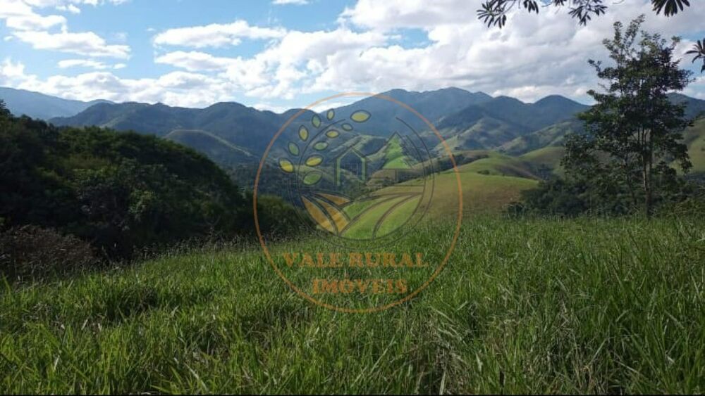 Sítio, 4 quartos, 9 hectares - Foto 4