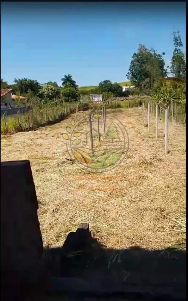 Chácara, 3 quartos - Foto 6