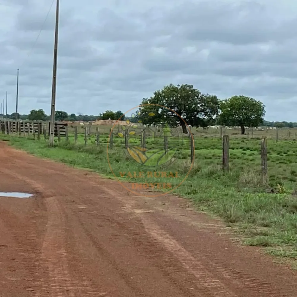 Fazenda, 1 quarto - Foto 4