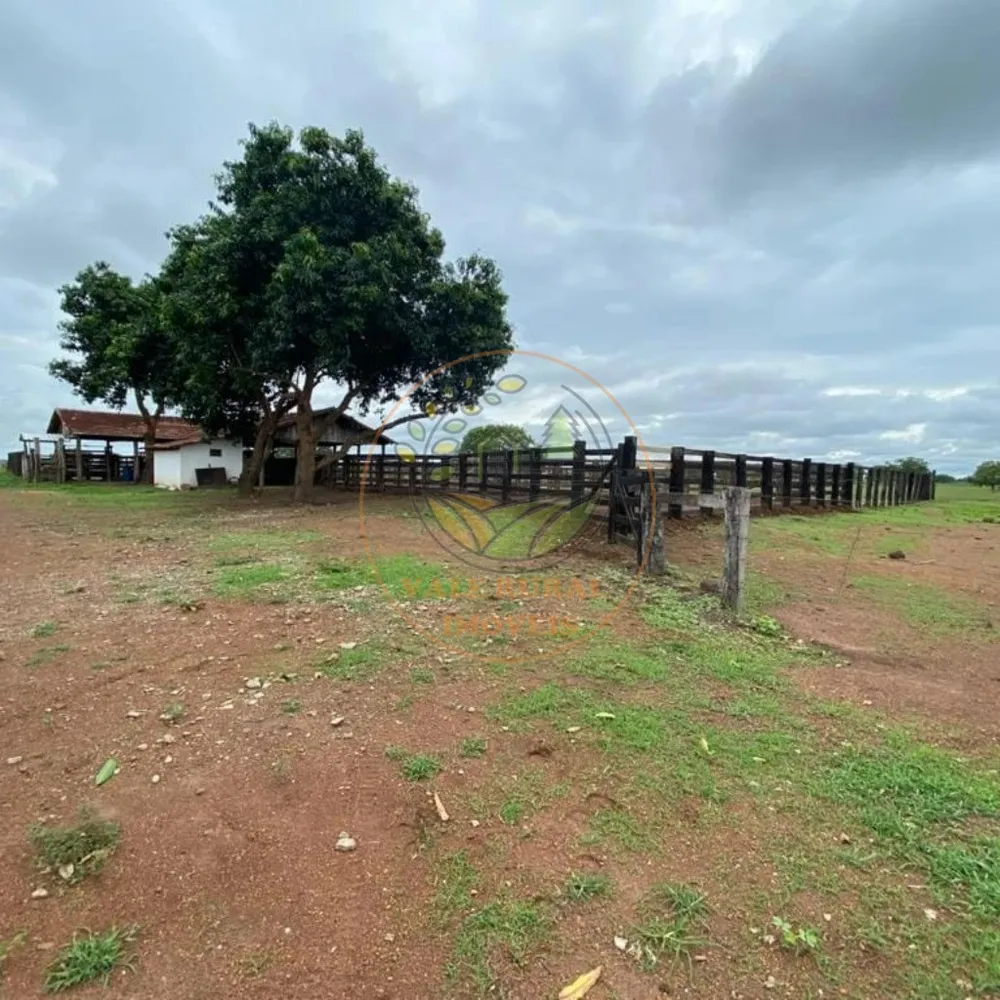 Fazenda, 1 quarto - Foto 9