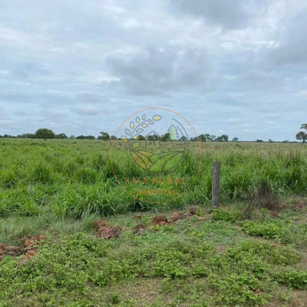 Fazenda, 1 quarto - Foto 8