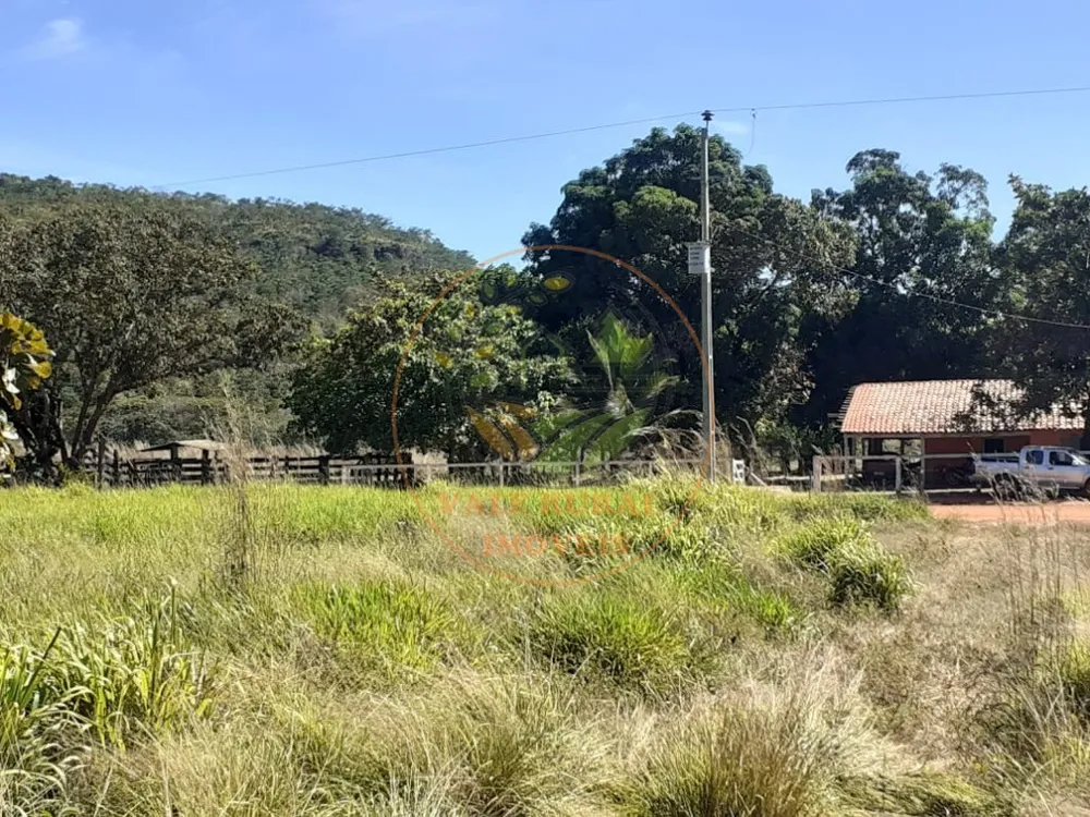 Fazenda - Foto 1