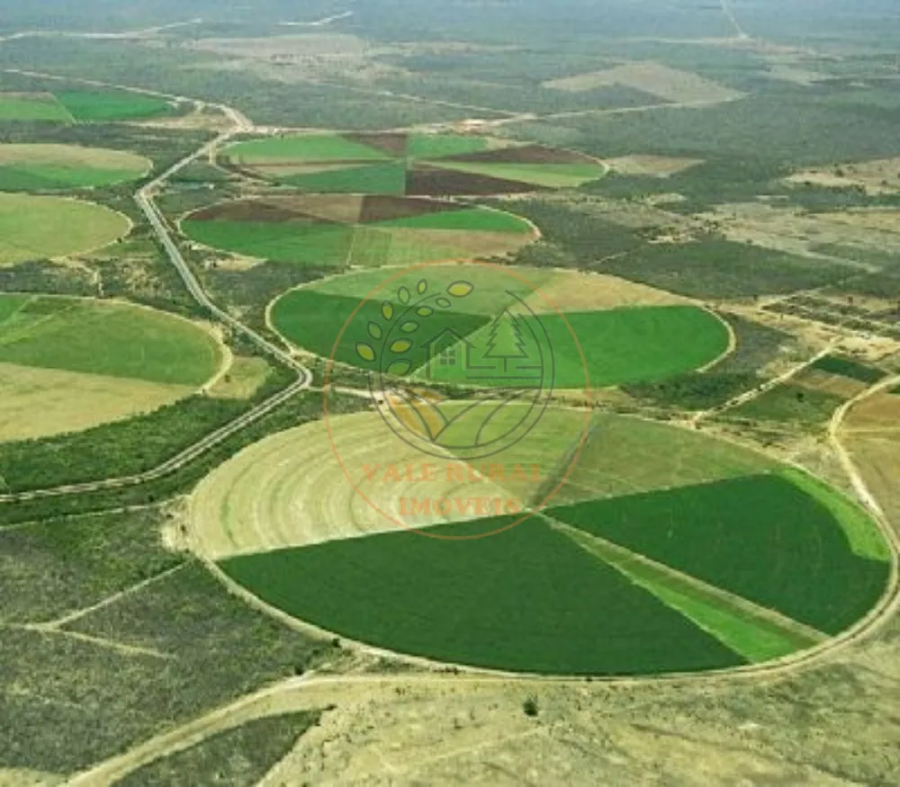 Fazenda, 5 quartos - Foto 1