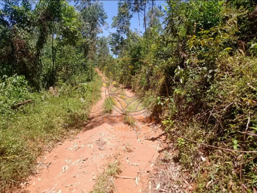Fazenda, 2 quartos - Foto 6