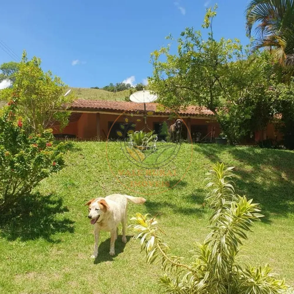 Sítio, 3 quartos, 43000 m² - Foto 3