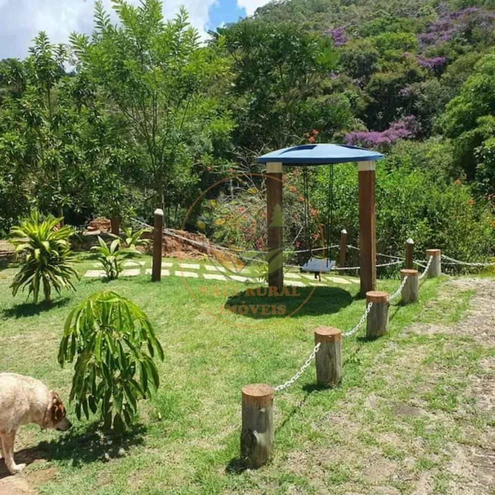 Sítio, 3 quartos, 43000 m² - Foto 3