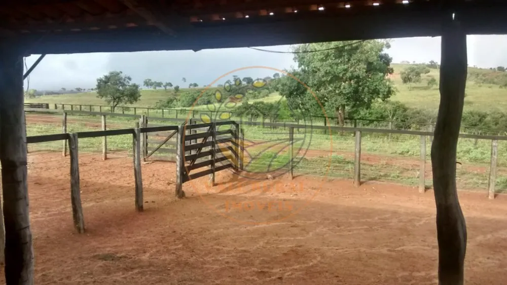 Fazenda - Foto 7