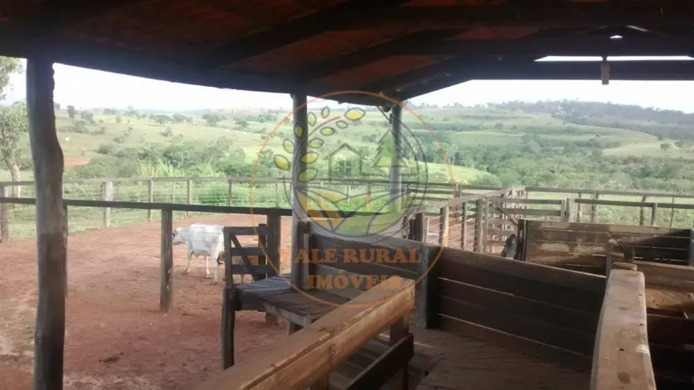 Fazenda - Foto 10