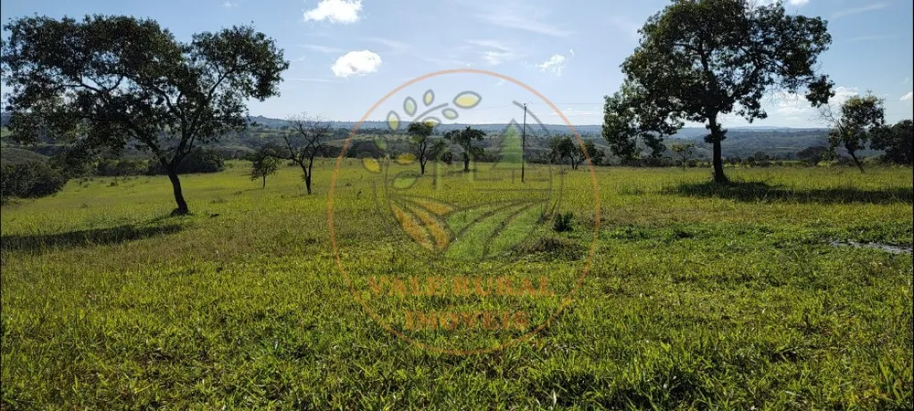 Fazenda - Foto 2