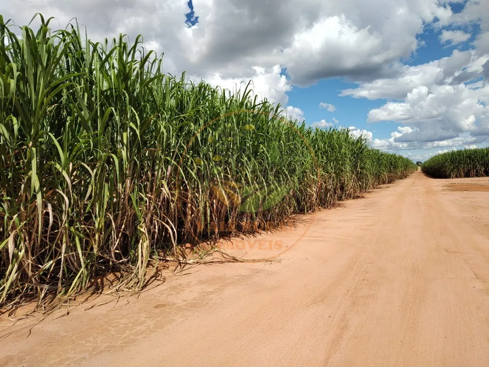 Fazenda - Foto 4