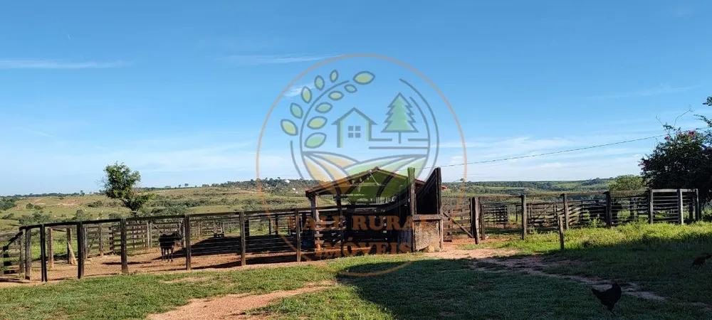 Fazenda - Foto 1