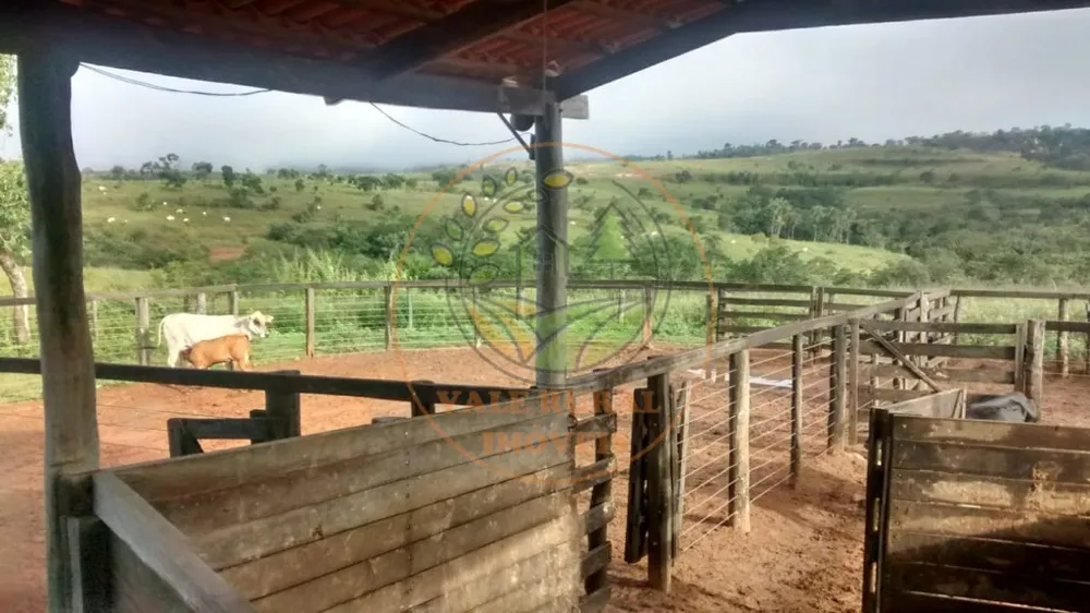 Fazenda - Foto 6