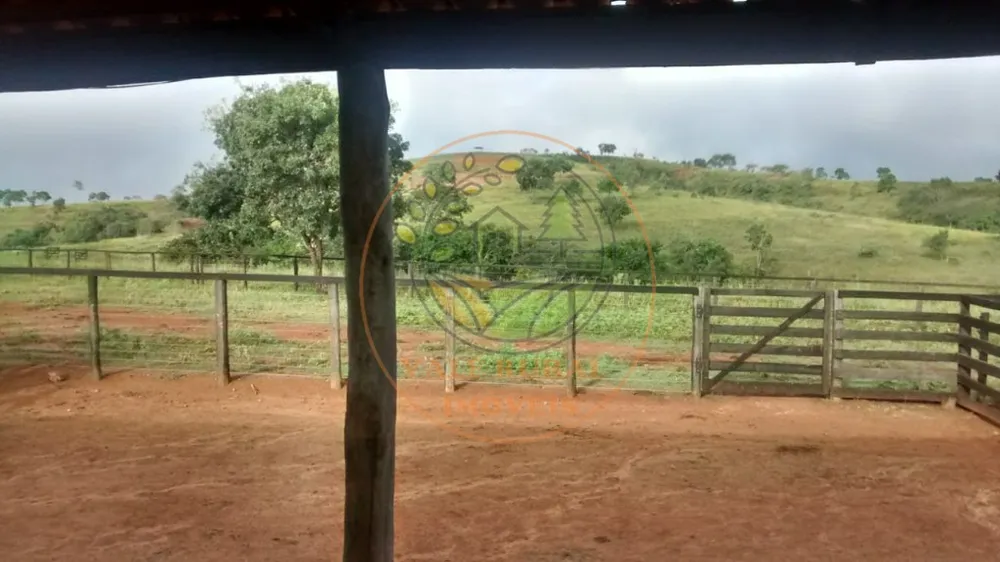 Fazenda - Foto 9