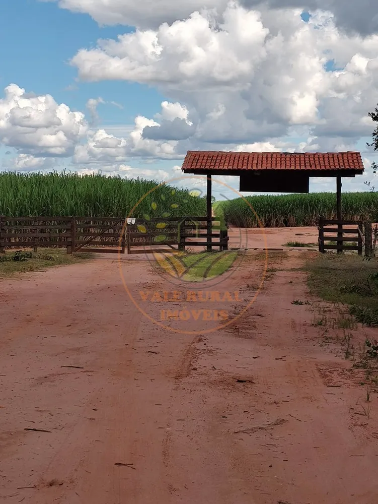 Fazenda - Foto 5