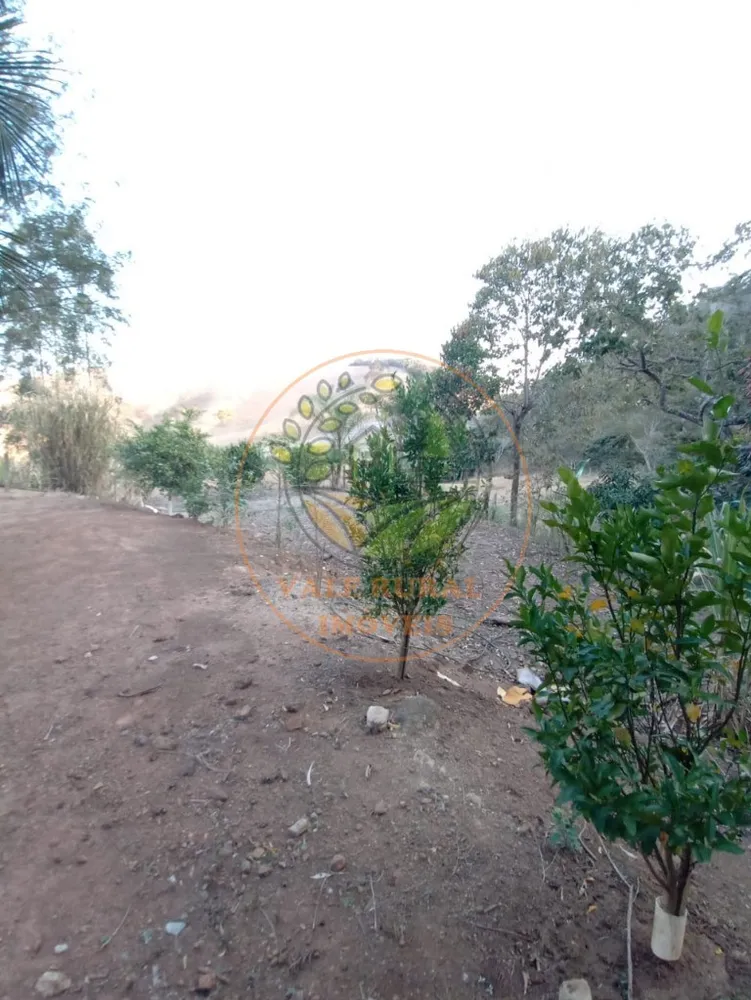 Sítio, 4 quartos, 2 hectares - Foto 3