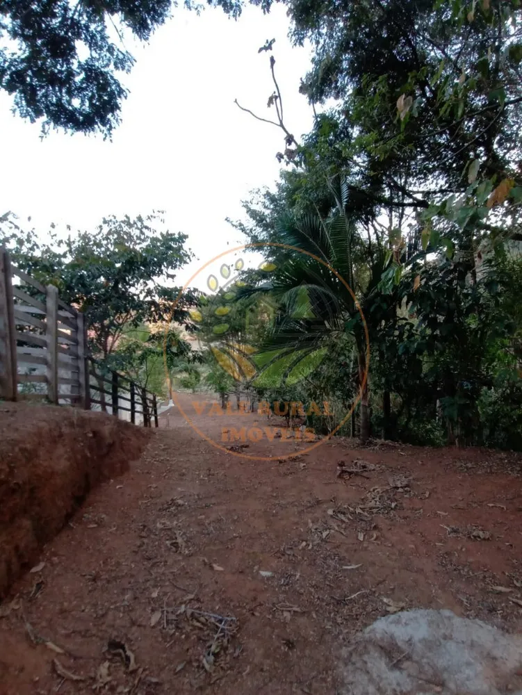 Sítio, 4 quartos, 2 hectares - Foto 4