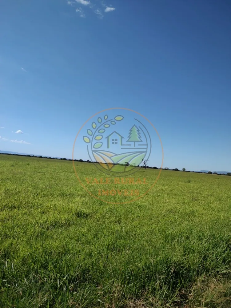 Fazenda, 3 quartos - Foto 6