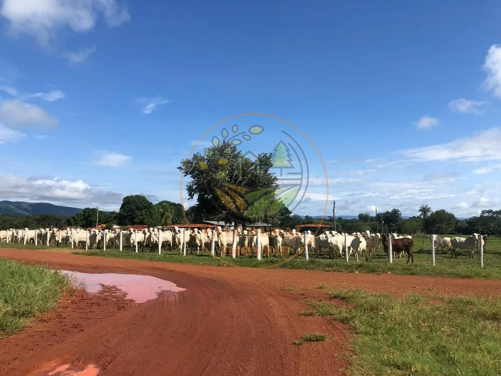 Fazenda, 3 quartos - Foto 5