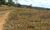 Fazenda-Sítio-Chácara, 2139 m² - Foto 2
