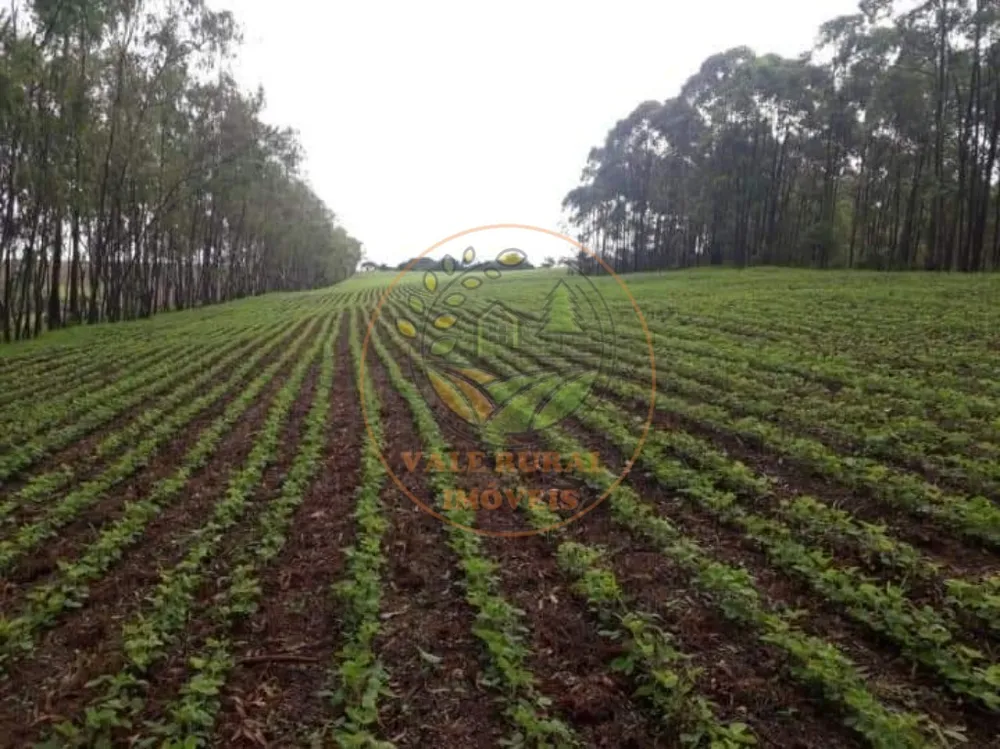 Fazenda, 6 quartos - Foto 8