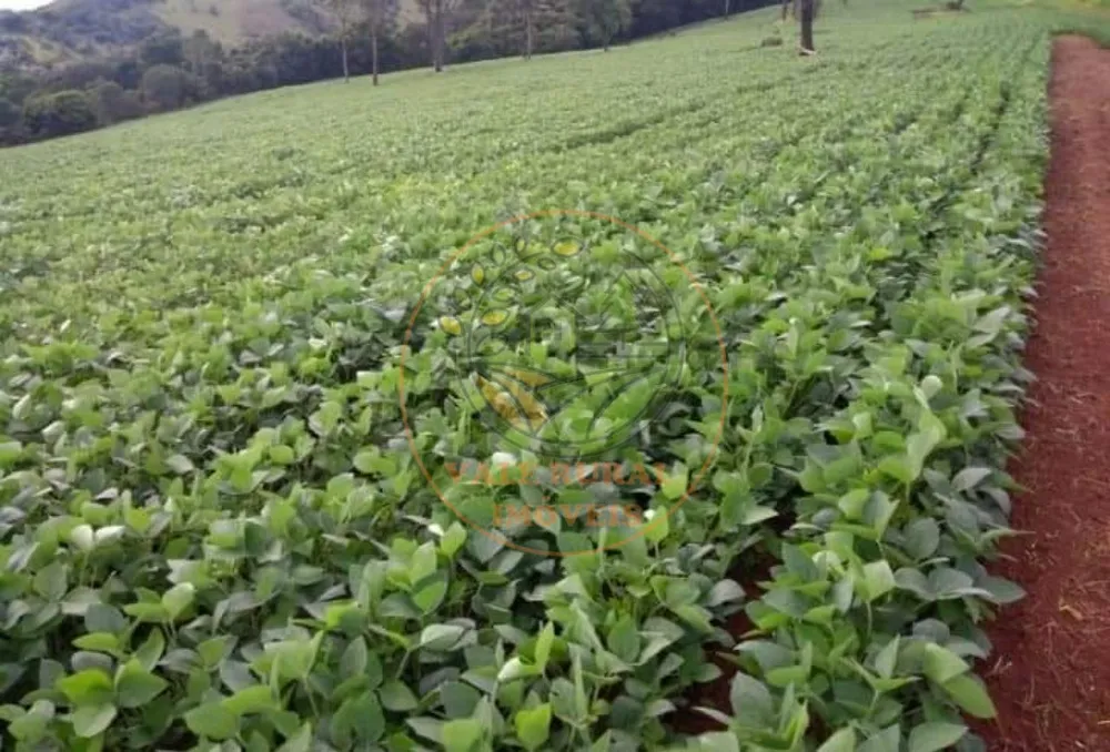 Fazenda, 6 quartos - Foto 6