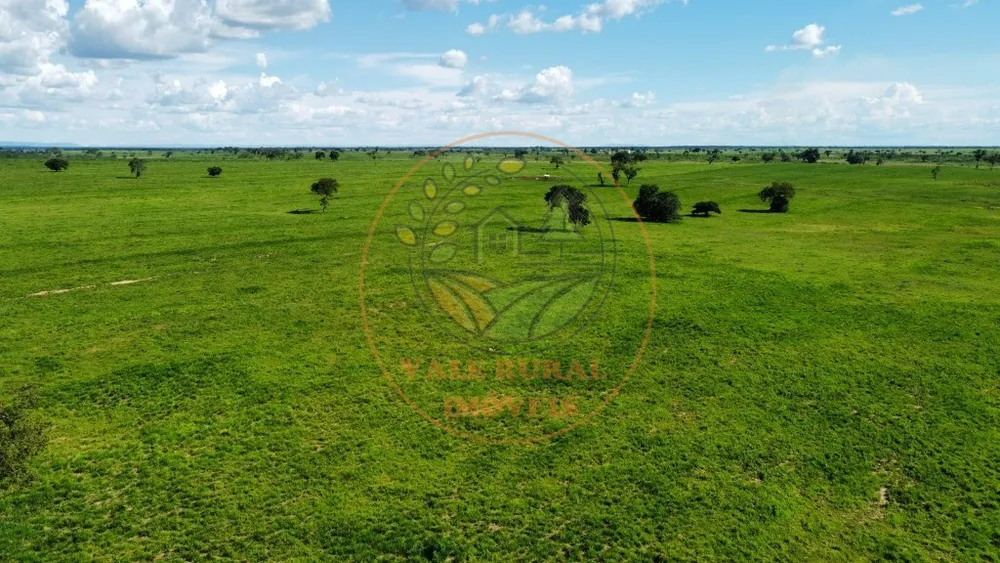 Fazenda - Foto 5
