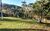 Sítio, 4 quartos, 7 hectares - Foto 4